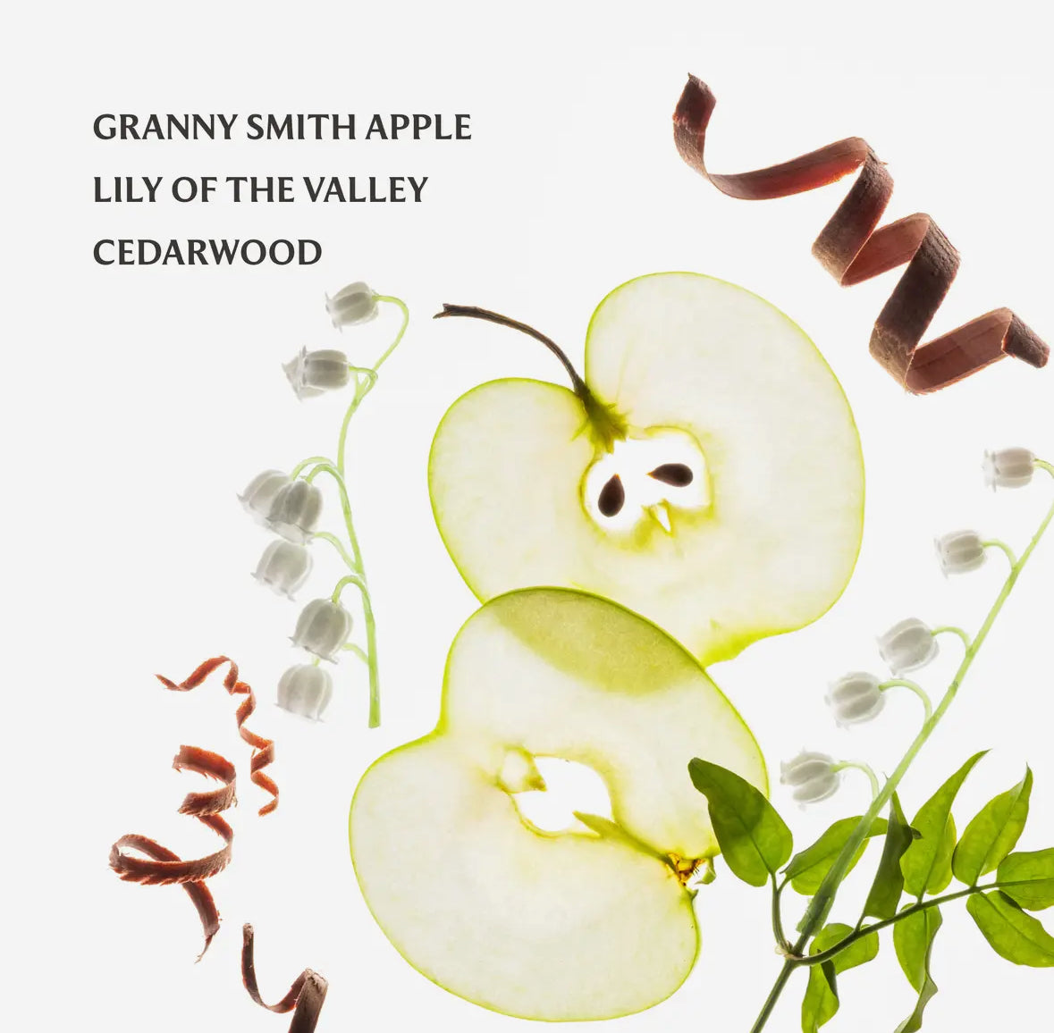 Touchland Applelicious Power Mist Hydrating Hand Sanitizer