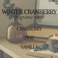 Winter Cranberry Soy Wax Candle, Rustic Ray's Candle Co.