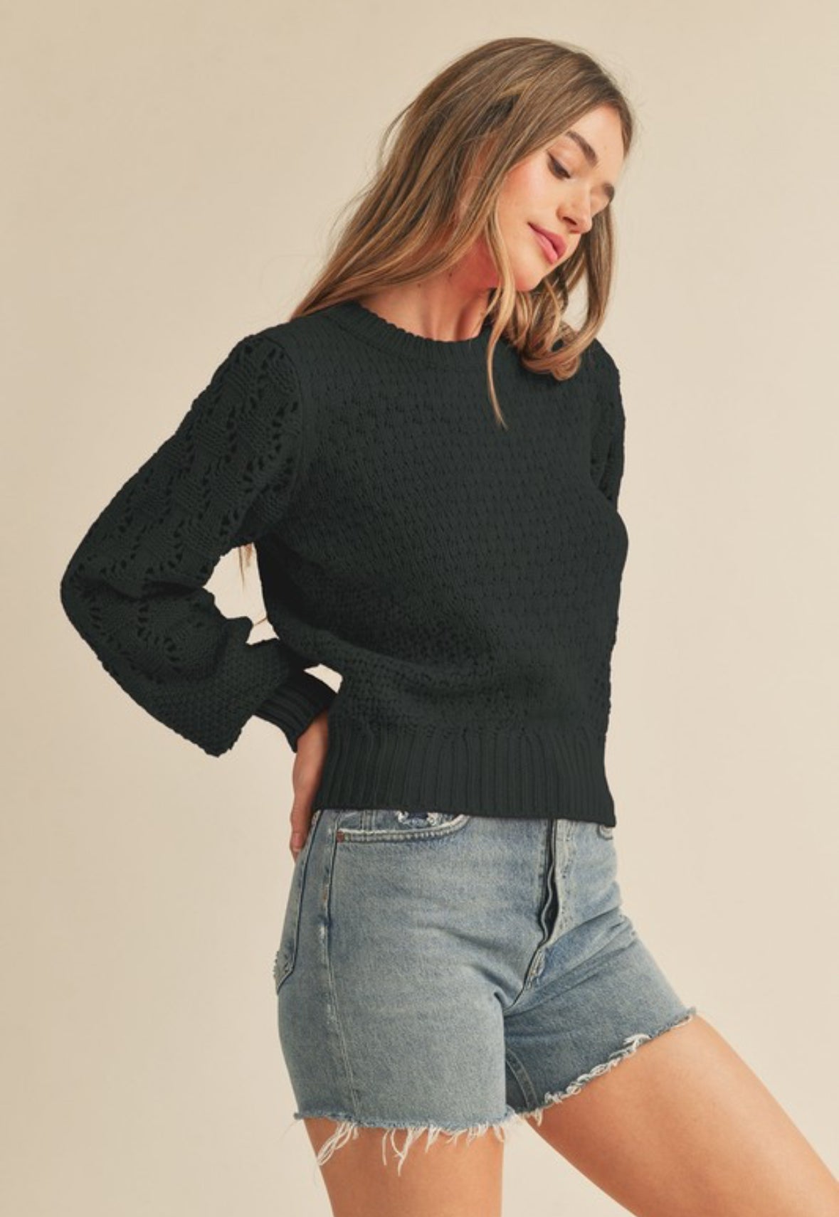 Addy Pointelle Knit Puff Sleeve Sweater, Black