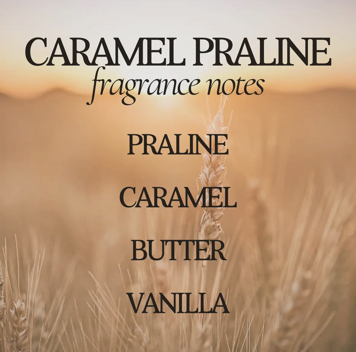 Caramel Praline Soy Wax Candle, Rustic Ray's Candle Co.