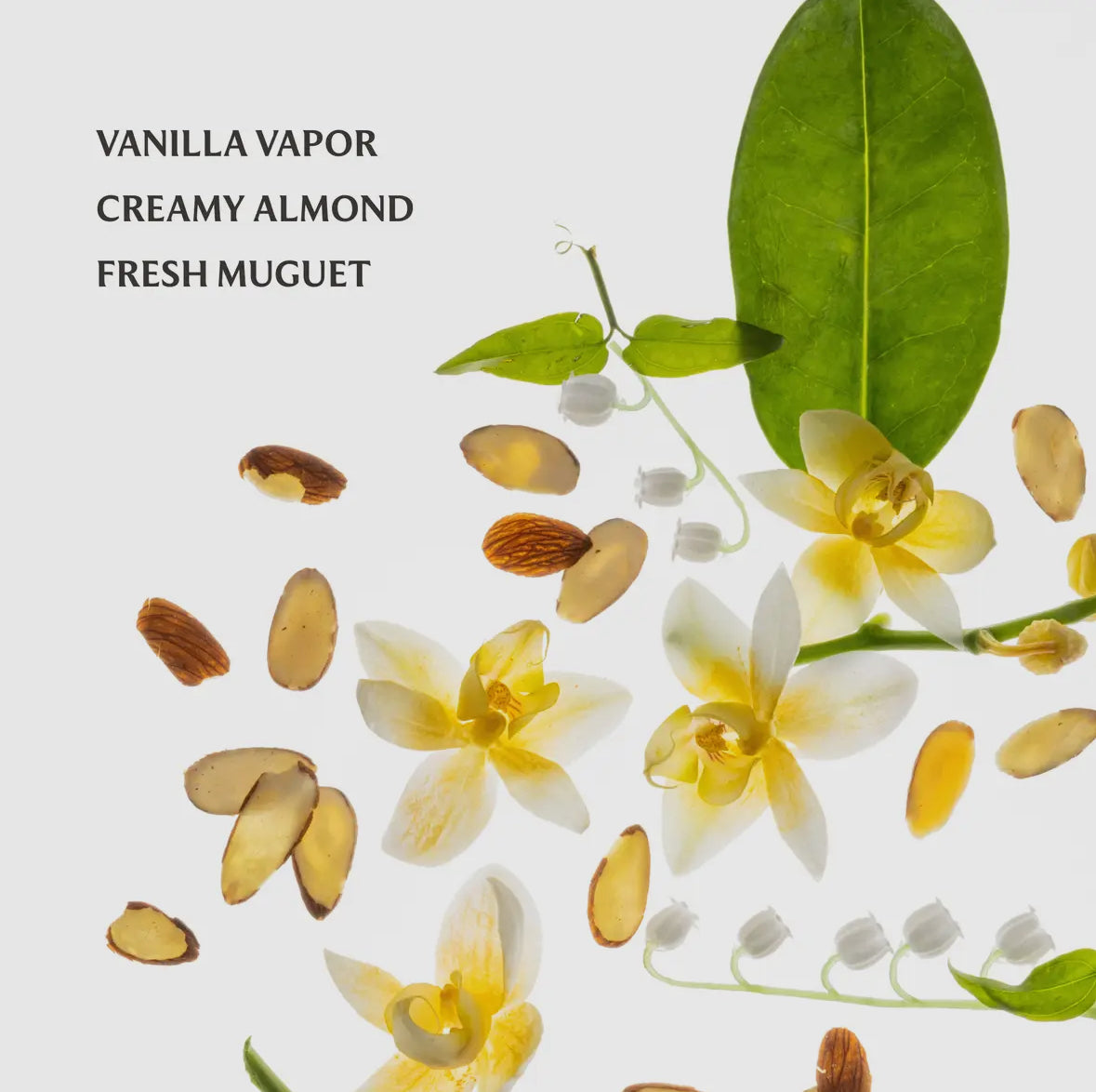 Touch Vanilla Velvet Power Essence Body & Hair Fragrance Mist