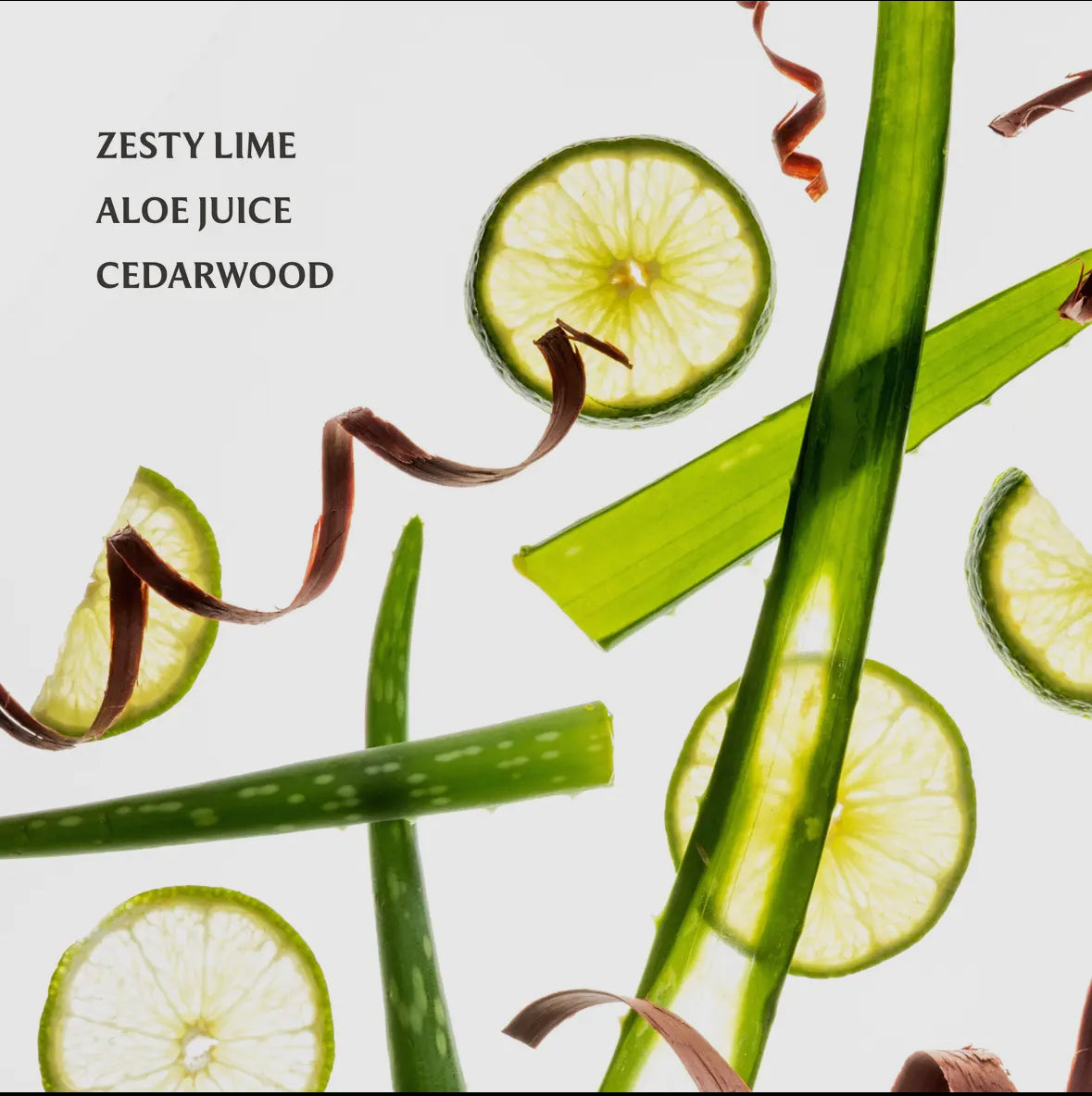 Touchland Aloe You Power Mist Hydrating Hand Sanitizer