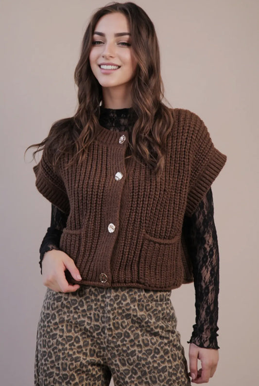 Amelia Oversized Button Down Knit Sweater Vest, Brown